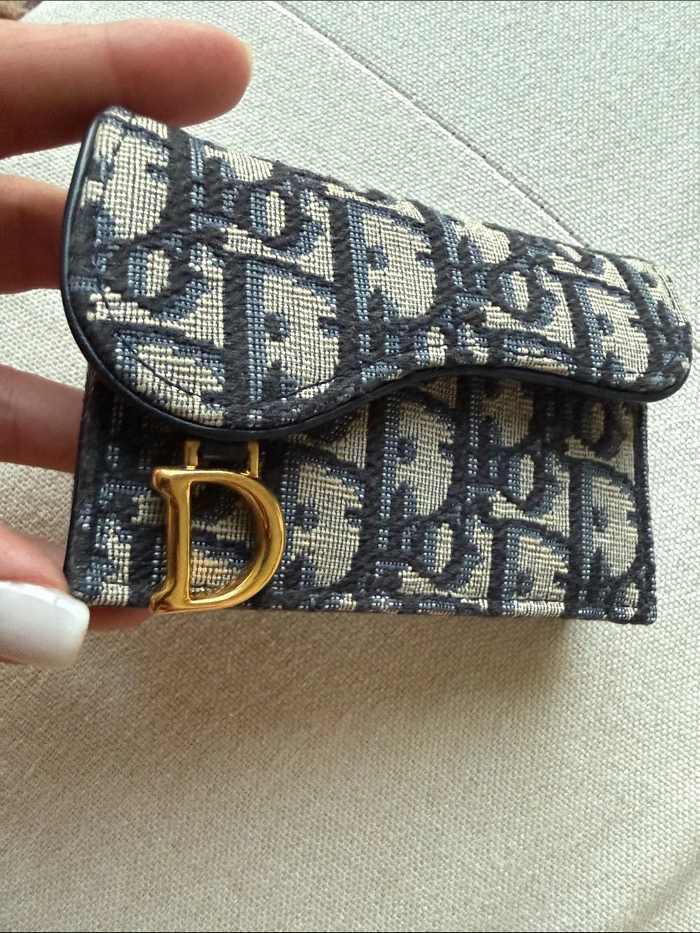 Dior Oblique Canvas Mini Saddle Cardholder in Blue and Beige